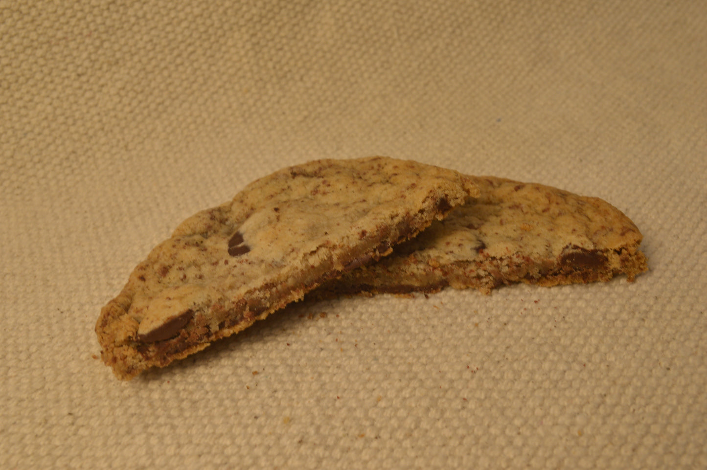 chocolate chip cookie