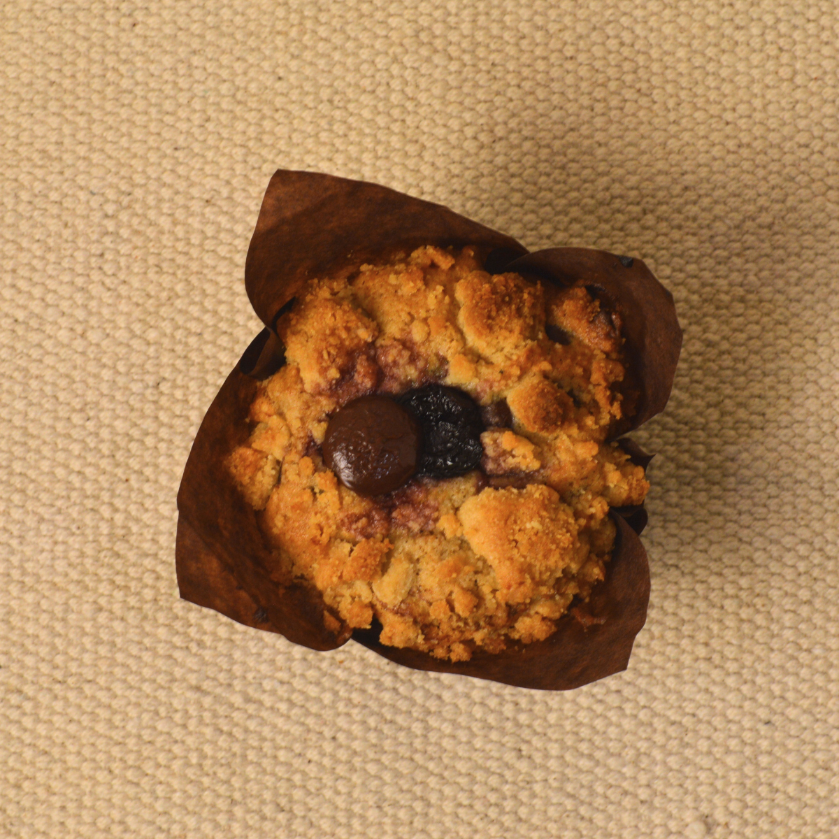 dark chocolate cherry muffin